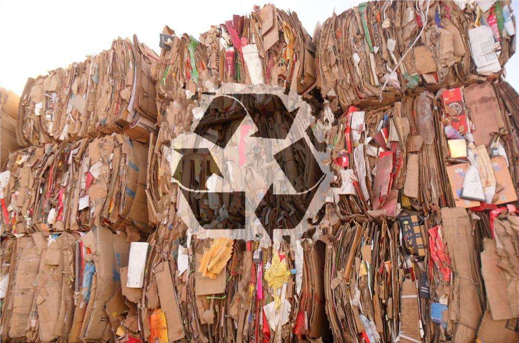 纸张回收简介-泊祎回收网